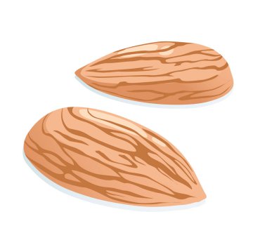 Beyaz arkaplanda badem.