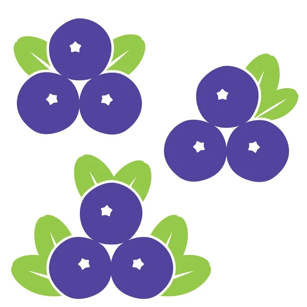 Blueberry Icon Set — стоковый вектор