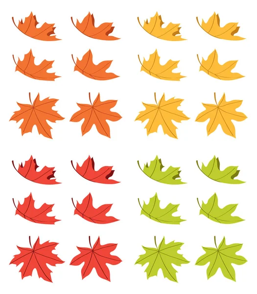 Set Maple Leaf — Stock Vector