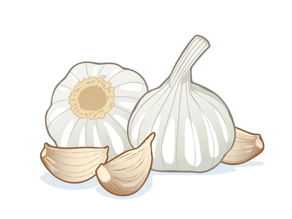 Garlics2 — Wektor stockowy