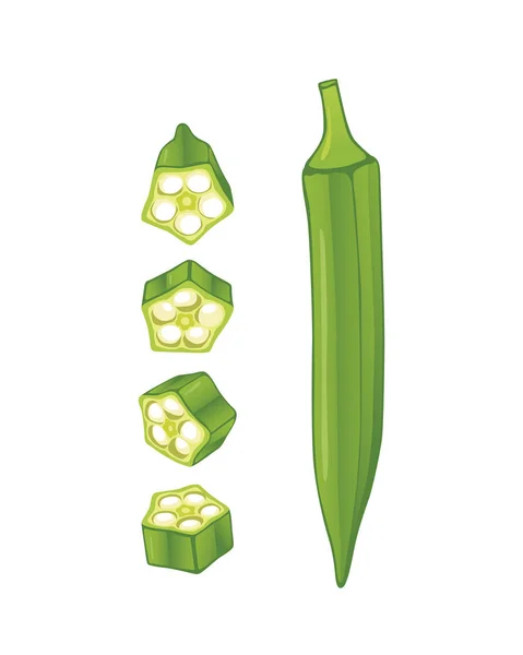 Lady Fringers of groene okra. — Stockvector