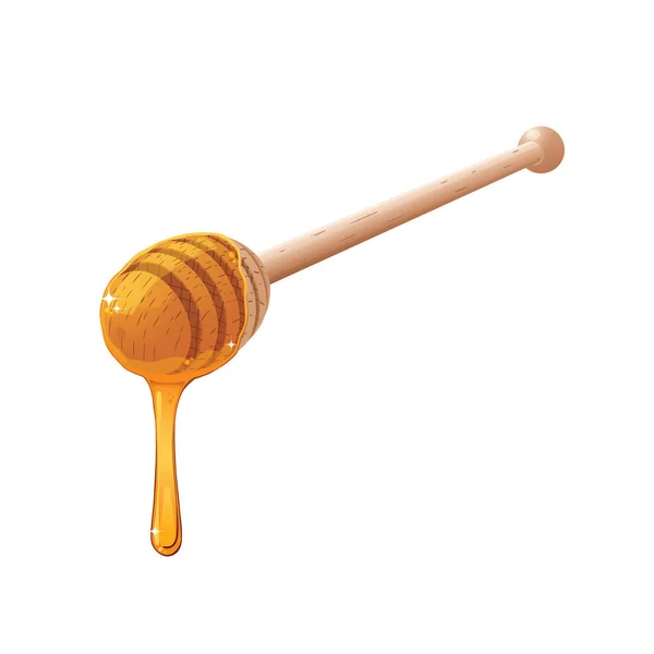 Wooden honey dipper. — Stock Vector