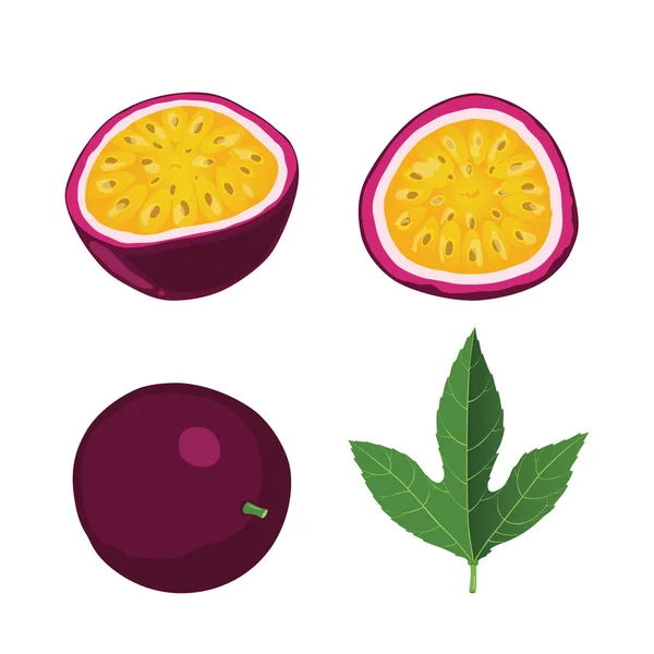 Σύνολο Φρούτων Του Πάθους Που Απομονώνονται Λευκό Φόντο Εξωτικά Φρούτα — Διανυσματικό Αρχείο