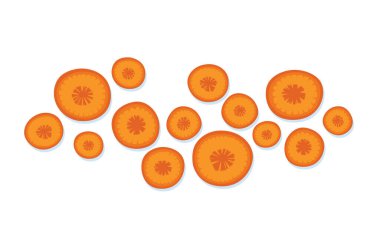 Beyaz arka planda izole edilmiş havuç dilimleri..