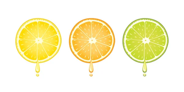 Jus Dalam Bentuk Tetes Yang Mengalir Dari Irisan Lemon Jeruk - Stok Vektor