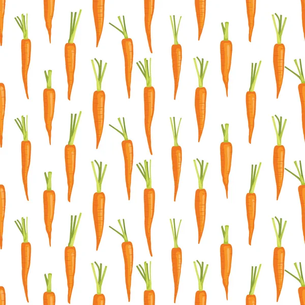 Carrots isolated on white background.Carrot background.