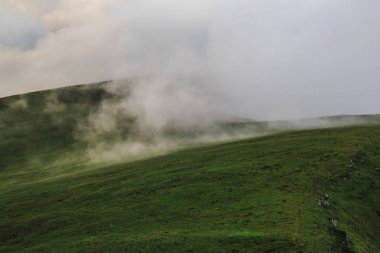 Gutyn-Tomnatyk, Karpatlar, Ukrayna dağlar peyzaj üzerinde yeşil çimen