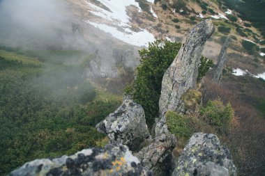 Sisli Karpat Dağları, Ukrayna'nın doğal görünümü