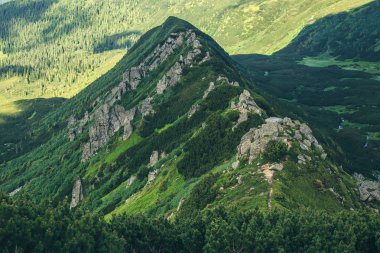 Güzel Karpat Dağları, Ukrayna'nın doğal görünümü