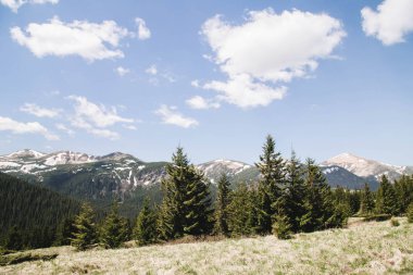 Doğal görünümü ünlü Hoverla dağ güzellik, Vorokhta, Karpat, Ukrayna