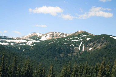 Doğal görünümü ünlü Hoverla dağ güzellik, Vorokhta, Karpat, Ukrayna