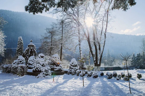 Malerischer Blick Auf Yaremche Dorf Winter Karpaten Ukraine — Stockfoto