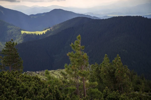 Yaremche, Karpat, Ukrayna, ünlü Dovbushanka dağının doğal görünümü