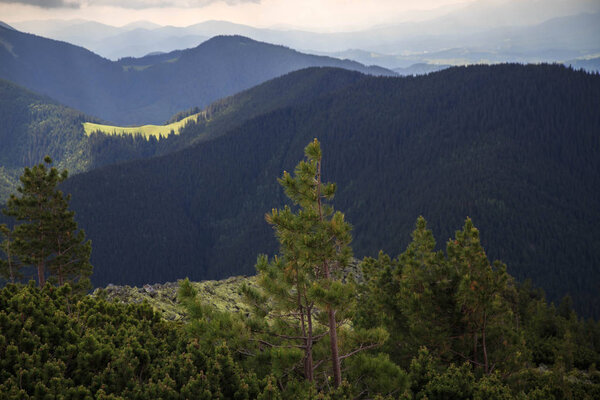 живописный вид на знаменитую гору Довбушанка в Яремче, Карпаты, Украина
