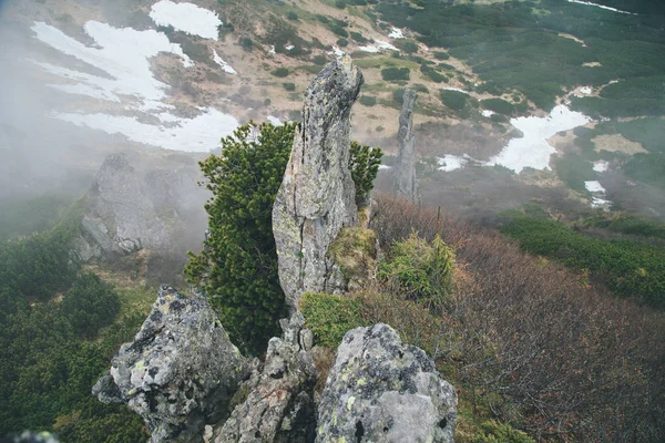 Vista Panorámica Las Hermosas Montañas Los Cárpatos Ucrania —  Fotos de Stock