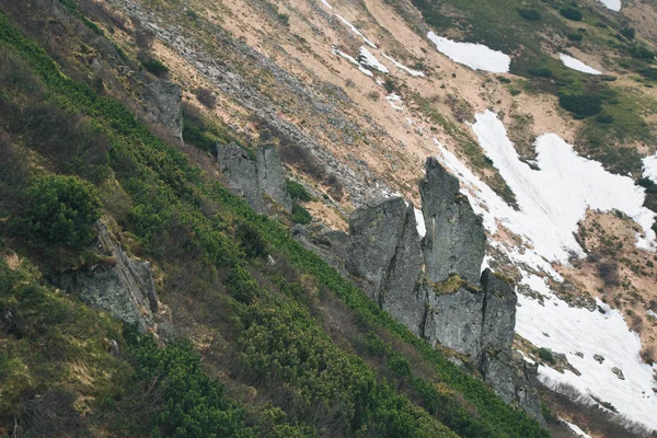 Naturskønne Udsigt Smukke Karpaterne Ukraine - Stock-foto