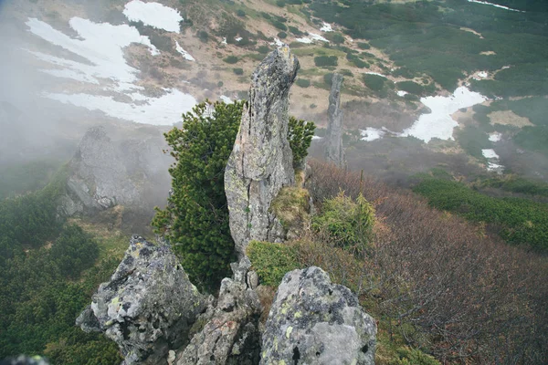 Vista Panorámica Las Montañas Los Cárpatos Brumosos Ucrania —  Fotos de Stock