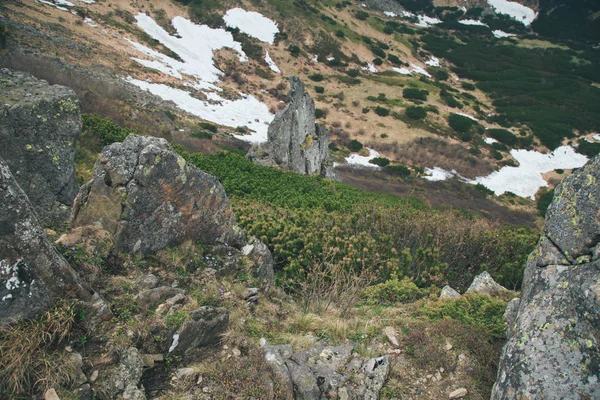 Vista Panorámica Las Hermosas Montañas Los Cárpatos Ucrania —  Fotos de Stock