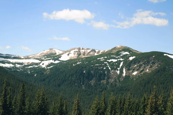 Doğal görünümü ünlü Hoverla dağ güzellik, Vorokhta, Karpat, Ukrayna