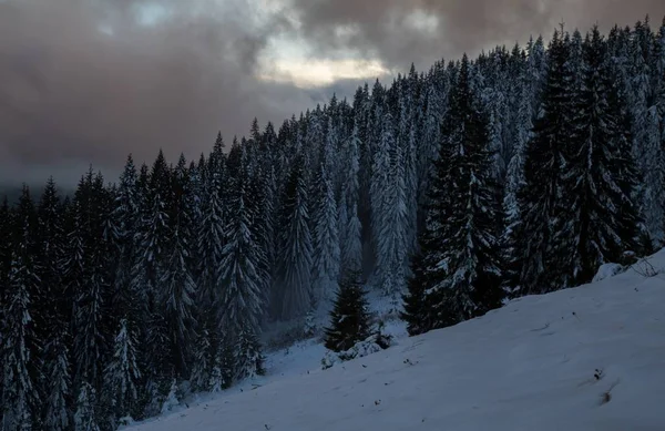 Hermosa Naturaleza Gorgan Yavirnyk Montaña Cubierta Nieve Cárpatos Ucrania —  Fotos de Stock