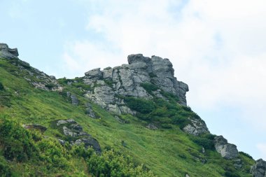 Vuhatiy Kamin, Karpatlar, Ukrayna taze yeşil peyzaj doğal görünümü
