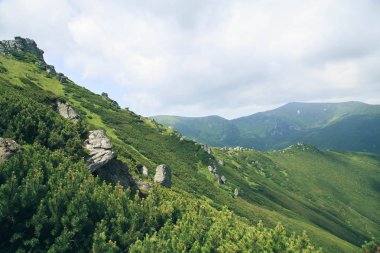 Görünüm Karpat Dağları, Vuhatiy Kamin, Karpatlar, Ukrayna güzel doğanın büyüleyici