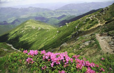 görkemli manzara Dağı Popivan, Karpat, Ukrayna'nın doğal görünümü