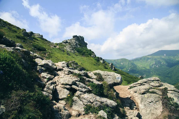 Vista Panorámica Del Paisaje Verde Fresco Vuhatiy Kamin Cárpatos Ucrania —  Fotos de Stock