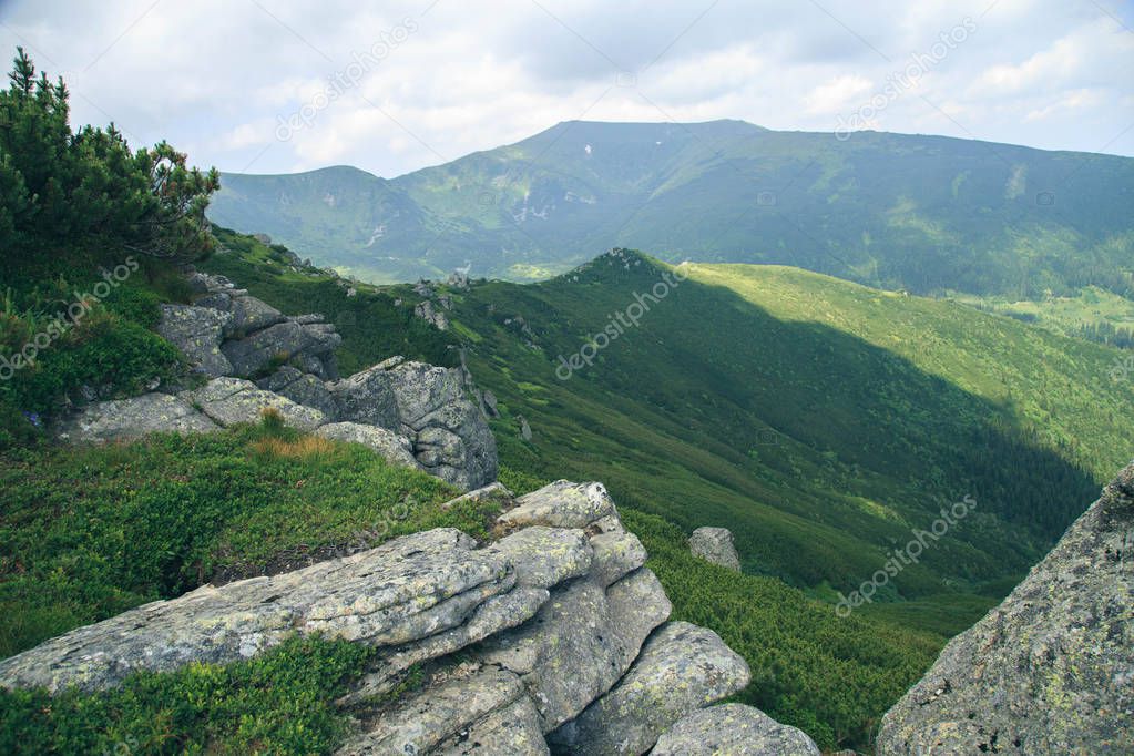 scenic view of fresh green landscape of Vuhatiy Kamin, Carpathians, Ukraine
