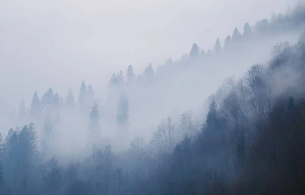 Dimmiga Bergen Och Skogen Bohdan Vintersäsongen Karpaterna — Stockfoto