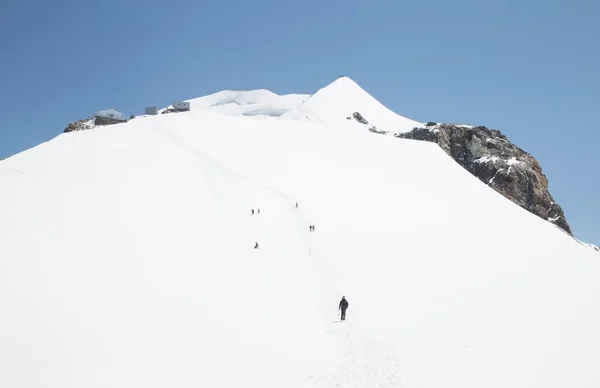 Туристи Походи Гірський Масив Монблан Шамоні Альп — стокове фото
