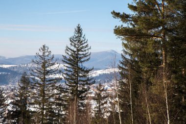 kış sezonu, Ukrayna köyünde Yaremche görünümünü