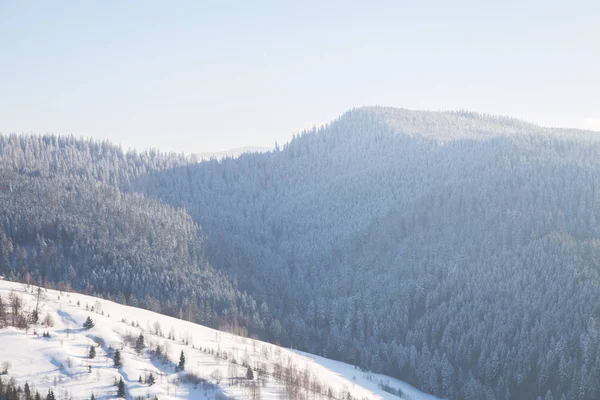 Vista Panoramica Delle Montagne Vicino Villaggio Yaremche Nella Stagione Invernale — Foto Stock