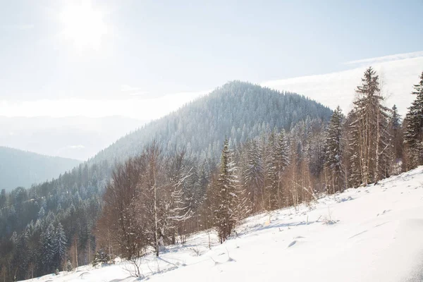 Vista Panorámica Las Montañas Cerca Del Pueblo Yaremche Temporada Invierno — Foto de Stock