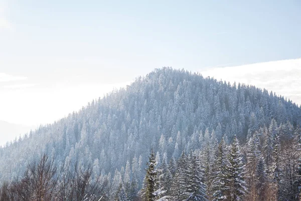 Vista Panoramica Delle Montagne Vicino Villaggio Yaremche Nella Stagione Invernale — Foto Stock