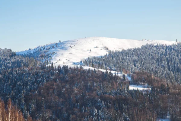 Атмосферні Подання Карпатських Гір Яремче — стокове фото