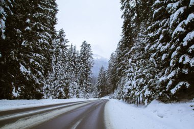 Bukovel, Yaremche için köknar ormanda karlı yol