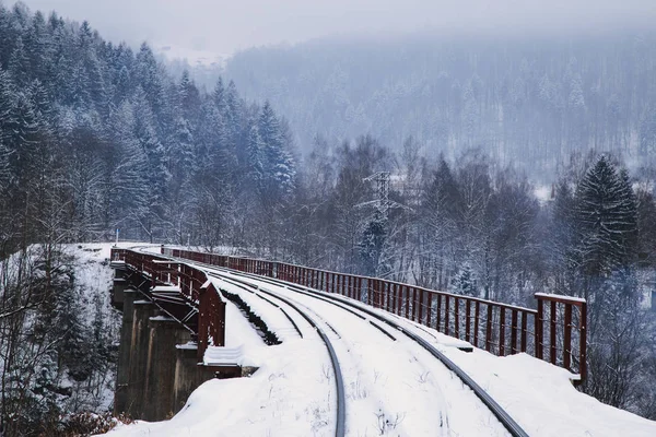 view of train bridge at winter season at Yaremche, Ukraine