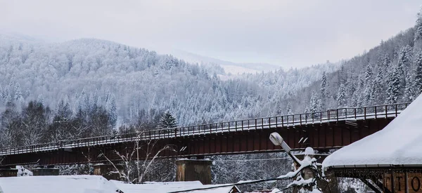 Δείτε Γέφυρα Του Τρένου Στο Χειμώνα Στο Γιαρέμτσε Ουκρανία — Φωτογραφία Αρχείου