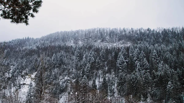 Vista Panorámica Naturaleza Cerca Del Pueblo Yaremche Temporada Invierno Ucrania — Foto de Stock