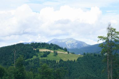 Yaz sezonu, Yaremche Hills'te görünümünü