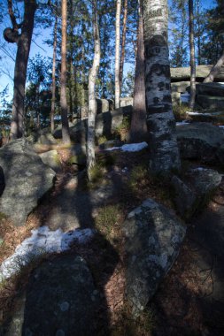 Yaremche, Ukrayna yakınındaki ormanda büyük taş görünümü