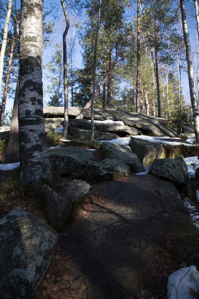 View Big Stones Forest Yaremche Ukraine — Stock Photo, Image