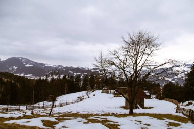 tepeler Verhovyna köyü yakınındaki görünümü kar kaplı
