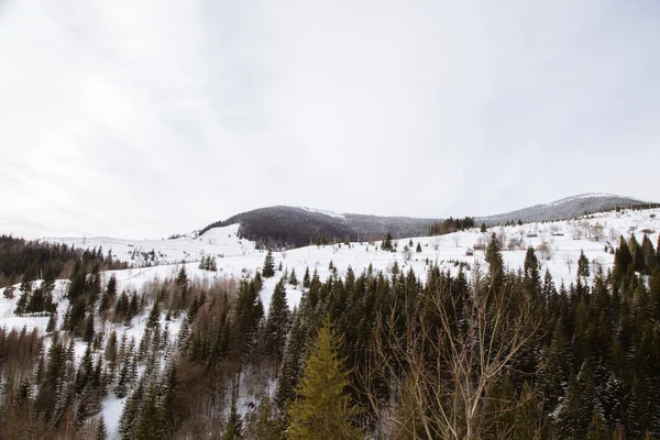 Verhovyna の村の近くで山のビュー — ストック写真