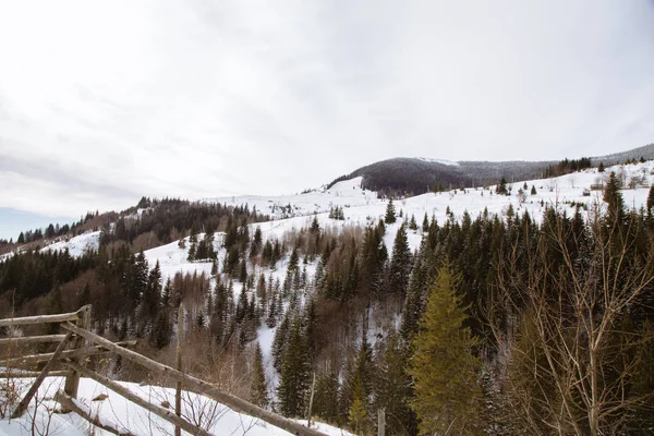 Vista Las Montañas Temporada Invierno Cerca Del Pueblo Verhovyna — Foto de Stock