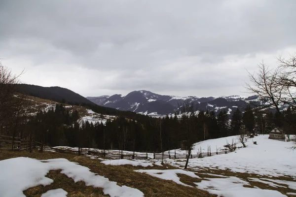 Blick Auf Die Berge Der Wintersaison Der Nähe Von Verhovyna — Stockfoto