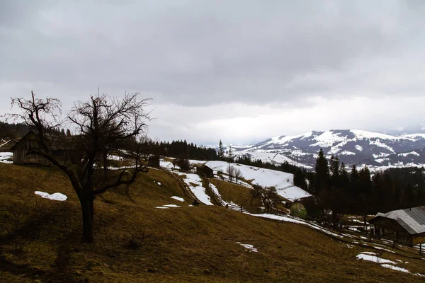 Vista Las Colinas Cubiertas Nieve Cerca Del Pueblo Verhovyna — Foto de Stock