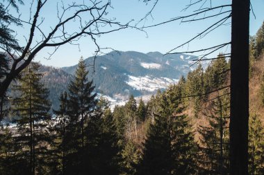 ağaç dal dağlar üzerinde aracılığıyla gündüz, Verhovyna göster