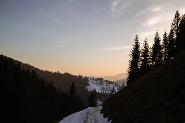Paisaje Escénico Las Montañas Cerca Verhovyna Durante Amanecer — Foto de Stock